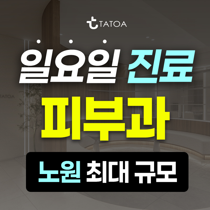 노원필러